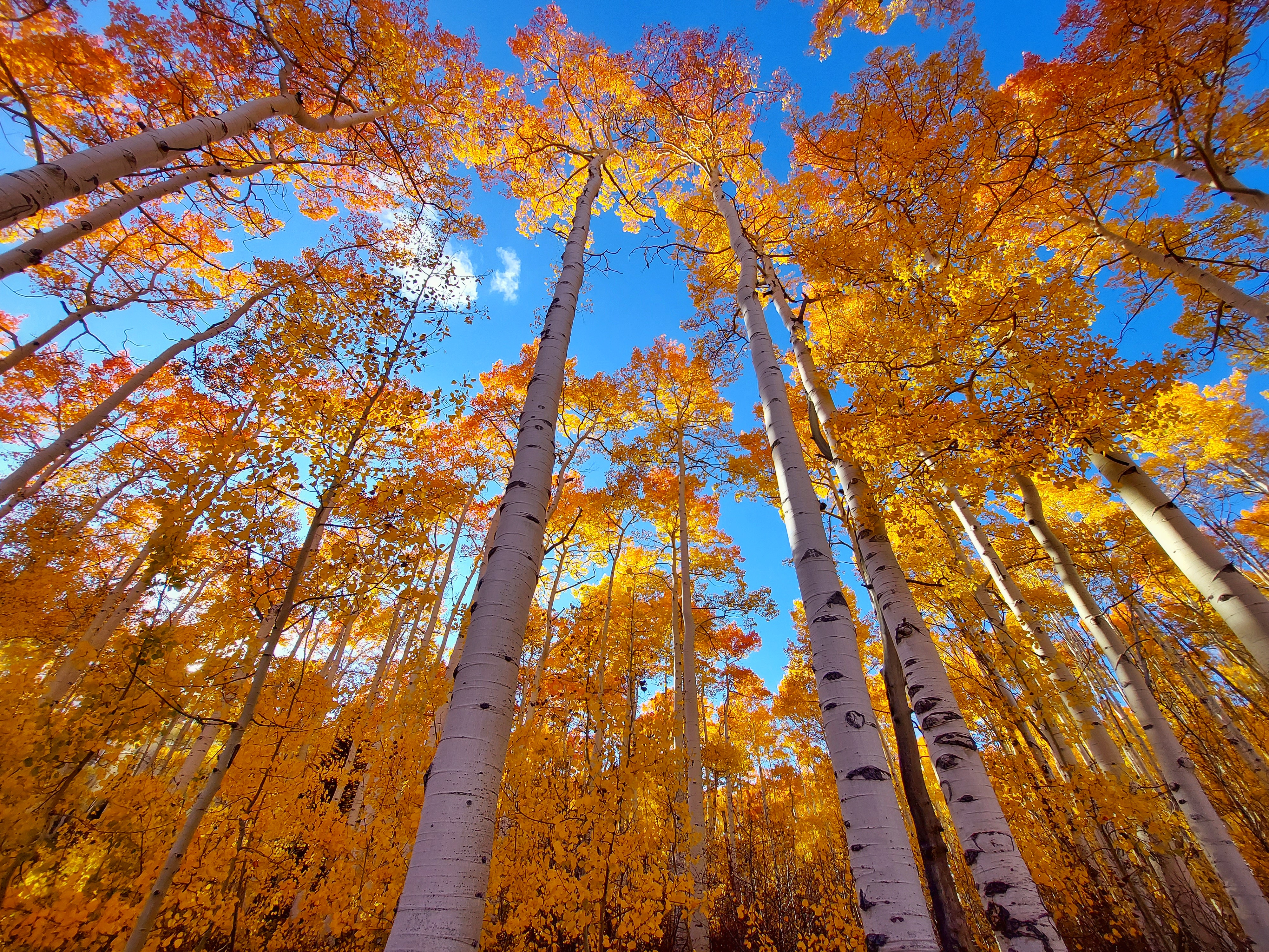 <span>I'm here to help and support you</span>